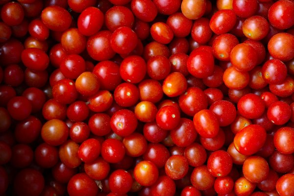 Svela il Segreto di Piatti Perfetti!